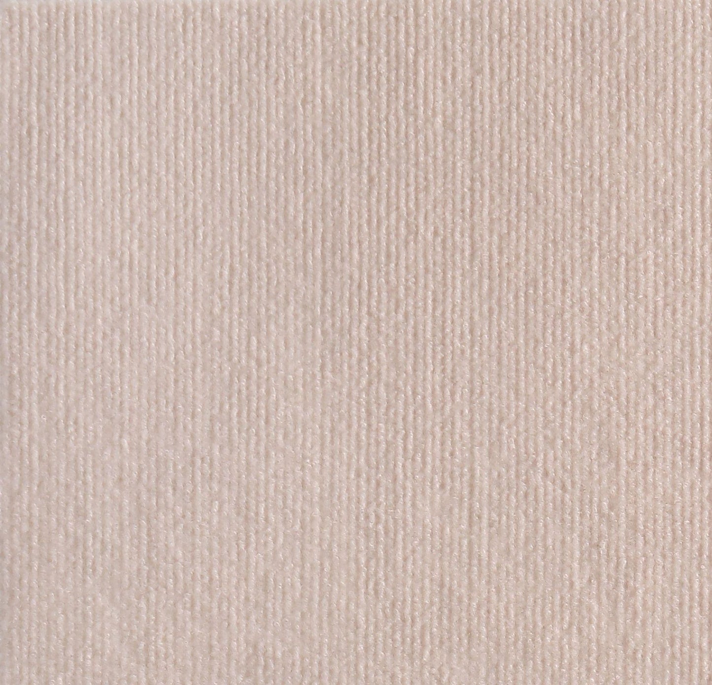 Hot sale -47%🔥Cat Scratching