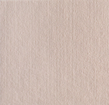 Hot sale -47%🔥Cat Scratching