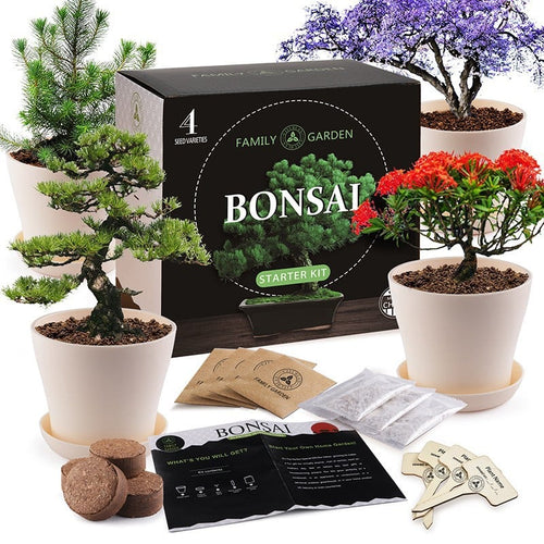 Bonsai Tree Kit Gifts - Grow 4 Bonsai Trees - Unique Gardening Crafts for Adults, DIY Hobbies for Plant Lovers & Gardeners - Unusual Christmas Gift Ideas for Mom & Dad