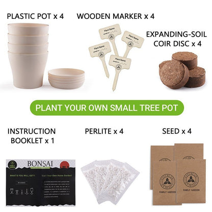 Bonsai Tree Kit Gifts - Grow 4 Bonsai Trees - Unique Gardening Crafts for Adults, DIY Hobbies for Plant Lovers & Gardeners - Unusual Christmas Gift Ideas for Mom & Dad
