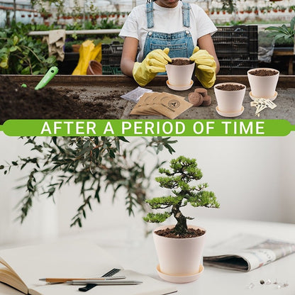 Bonsai Tree Kit Gifts - Grow 4 Bonsai Trees - Unique Gardening Crafts for Adults, DIY Hobbies for Plant Lovers & Gardeners - Unusual Christmas Gift Ideas for Mom & Dad