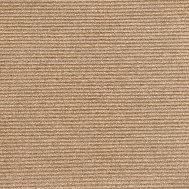 Hot sale -47%🔥Cat Scratching