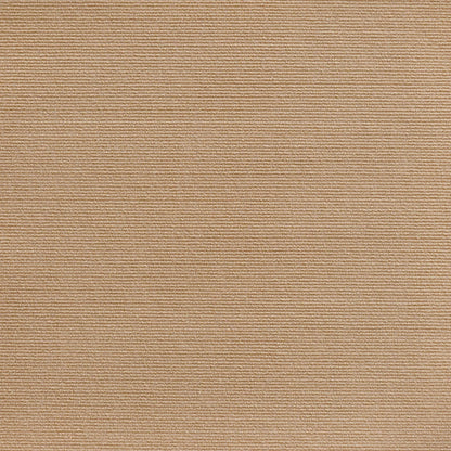 Hot sale -47%🔥Cat Scratching