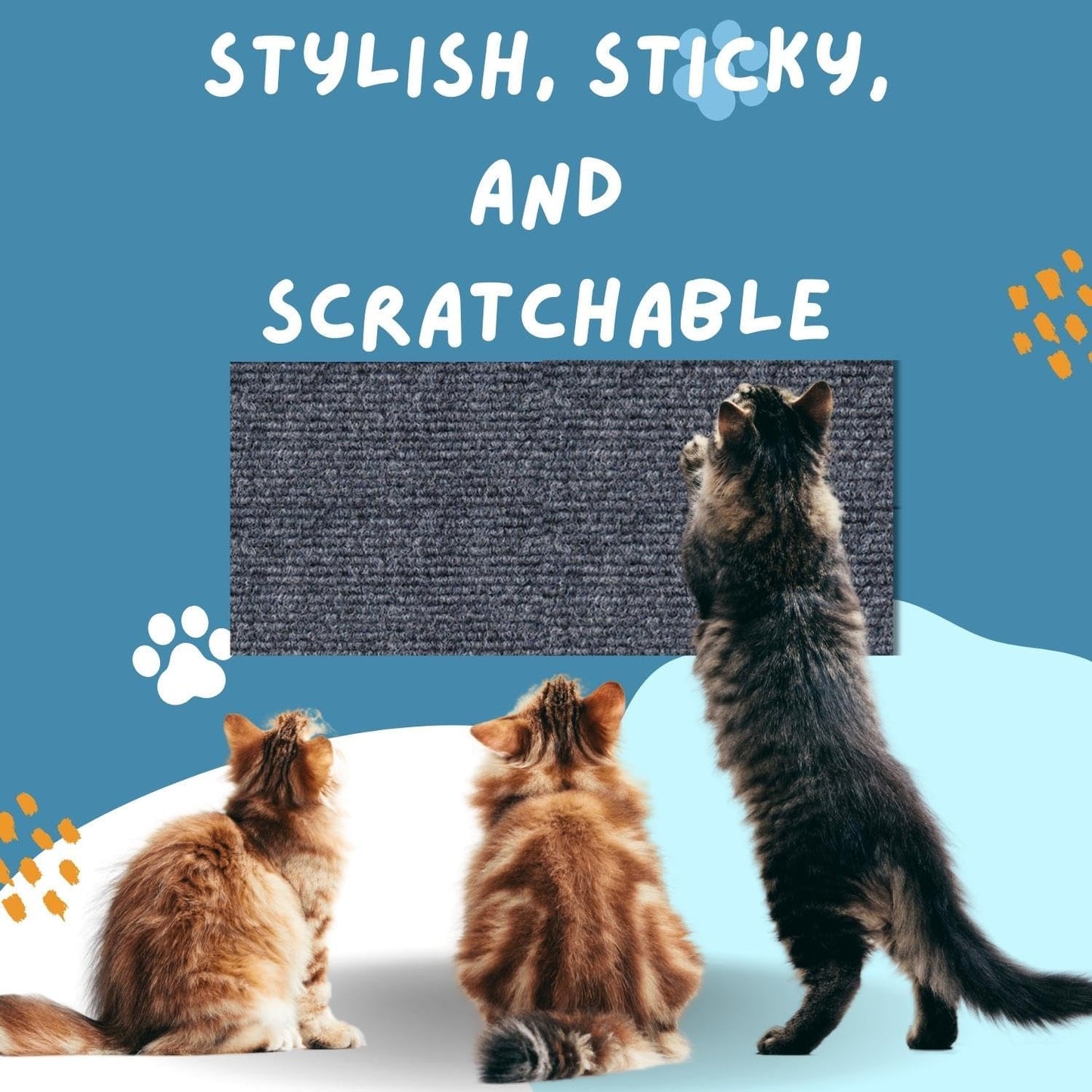 Hot sale -47%🔥Cat Scratching