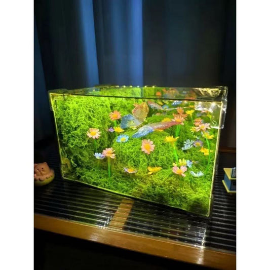 Butterfly Fairy Night Light