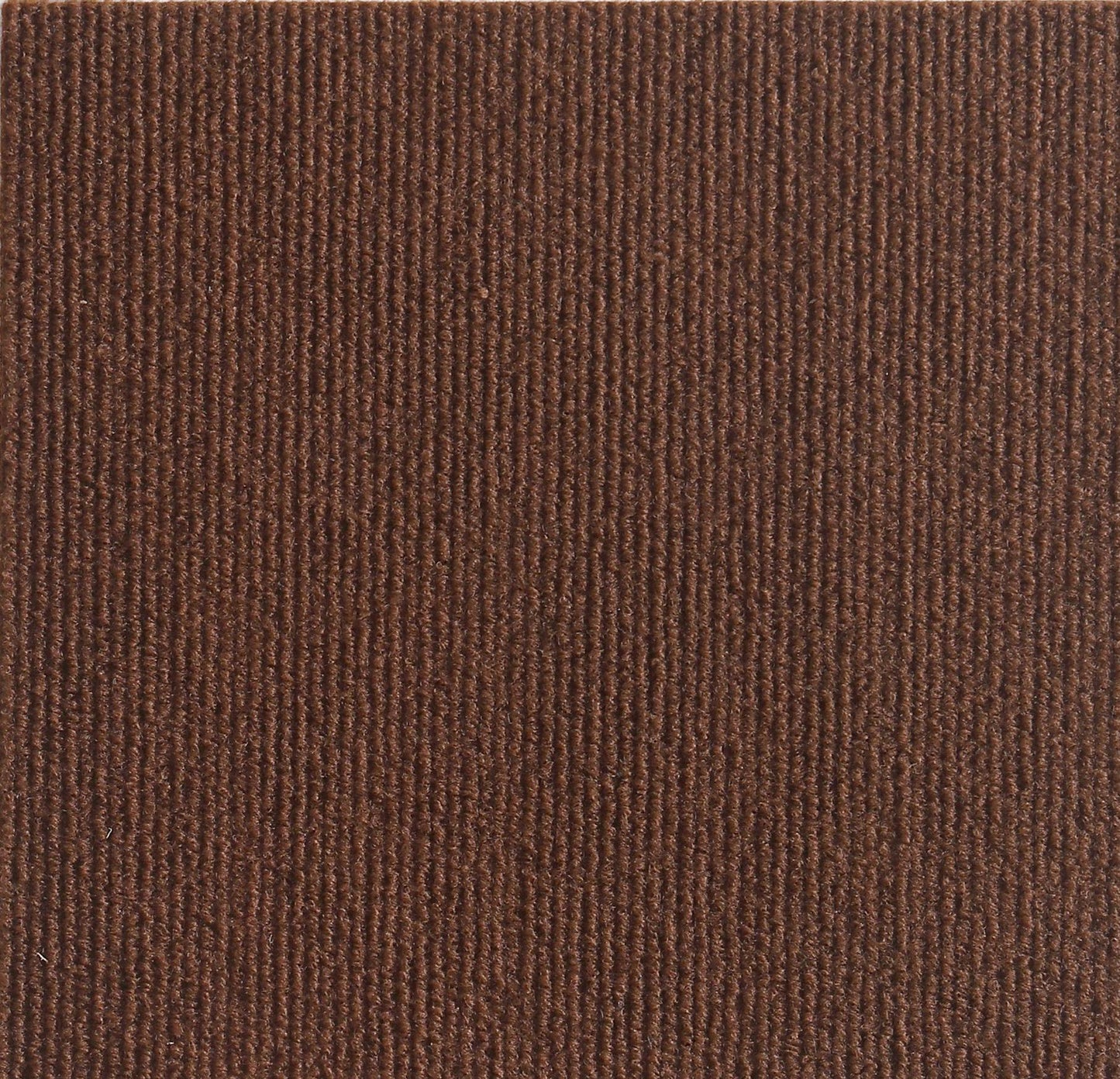 Hot sale -47%🔥Cat Scratching