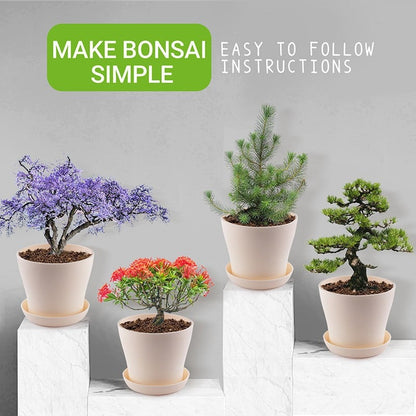 Bonsai Tree Kit Gifts - Grow 4 Bonsai Trees - Unique Gardening Crafts for Adults, DIY Hobbies for Plant Lovers & Gardeners - Unusual Christmas Gift Ideas for Mom & Dad